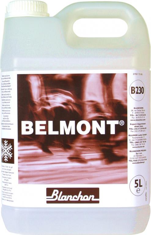 Blanchon Belmont B-230 - B-210
